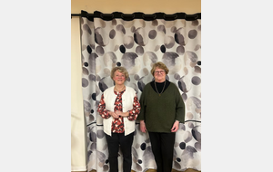 Finale du comité dame performance paire