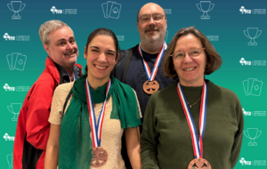 Finale Nationale mixte division de ligue