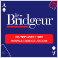 Le Bridgeur