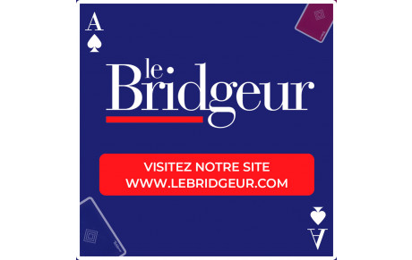 Le Bridgeur